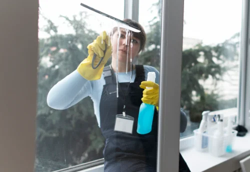 Nettoyage de vitres intérieures et extérieures à Reyssouze